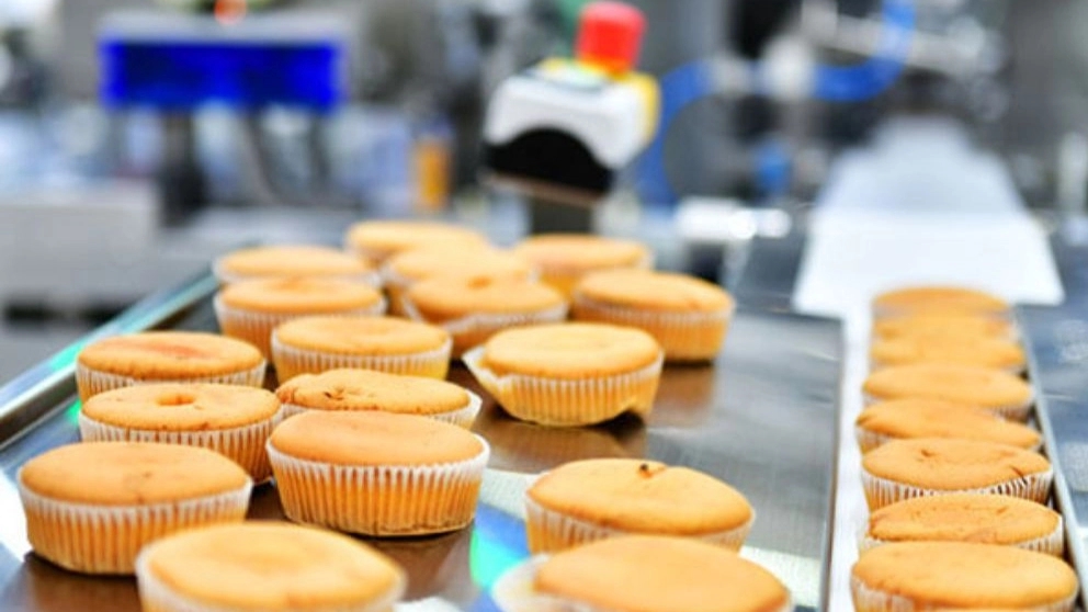 Production of cookie and cake line machinery in Mashhad